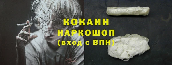 спайс Бородино