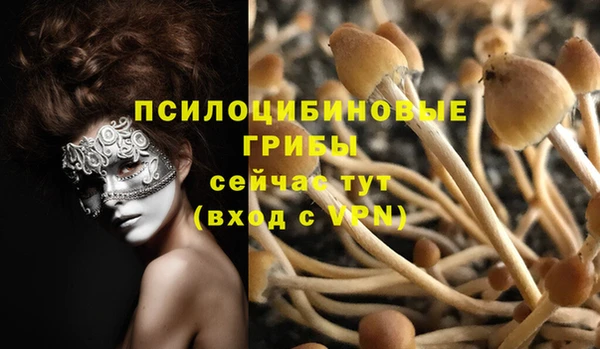 спайс Бородино